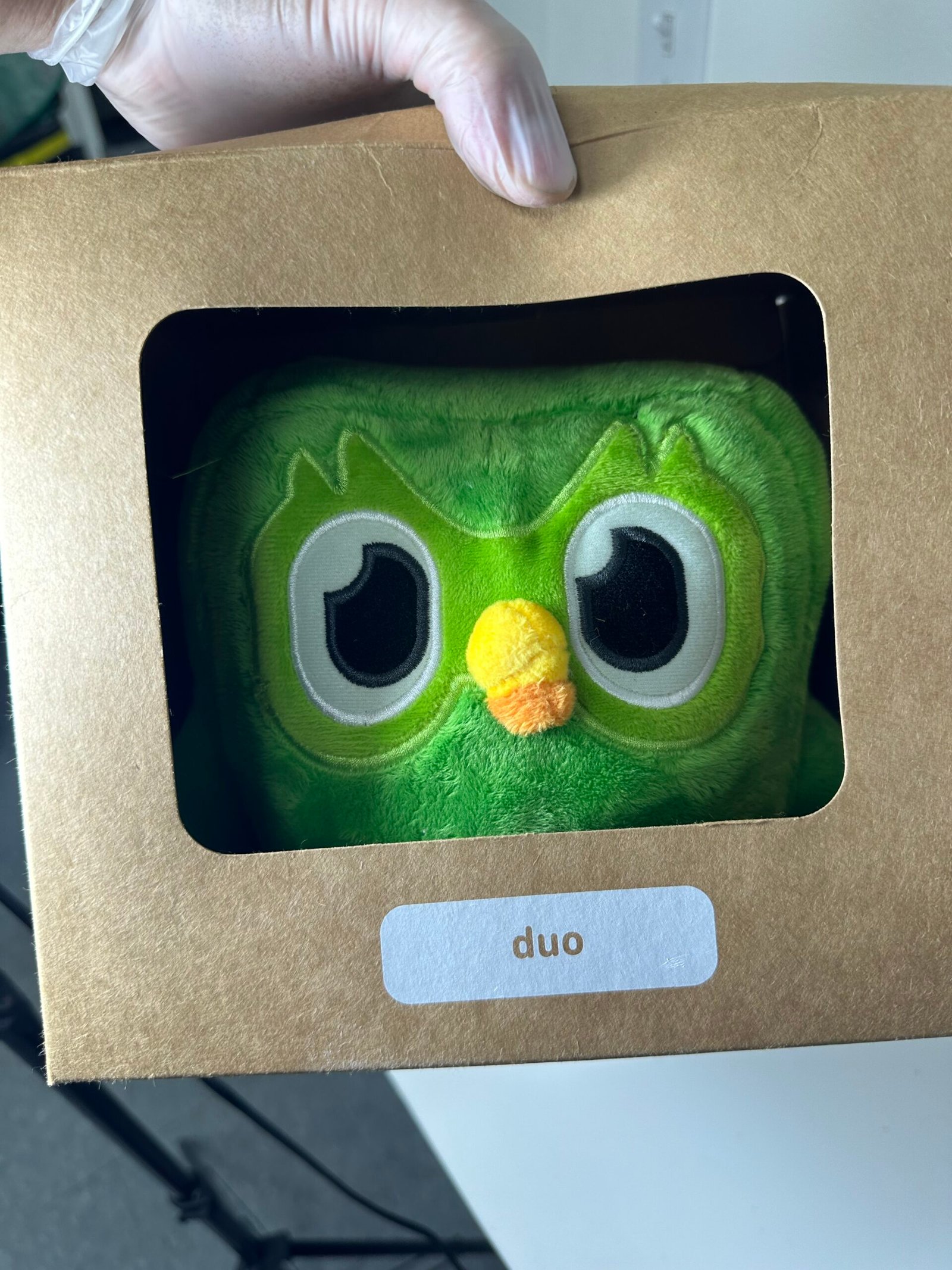 Duolingo - Duo Plushie - Pelucia Infantil - Produto Novo (Lacrado) - Imagem 3
