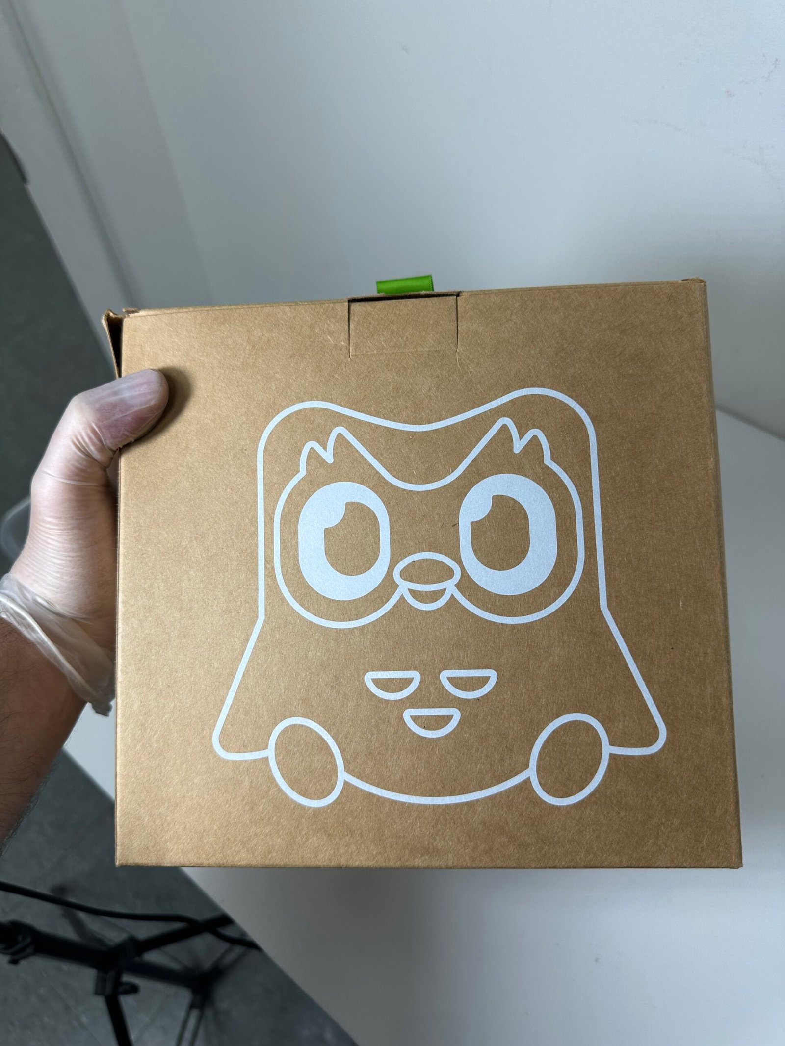 Duolingo - Duo Plushie - Pelucia Infantil - Produto Novo (Lacrado) - Imagem 2