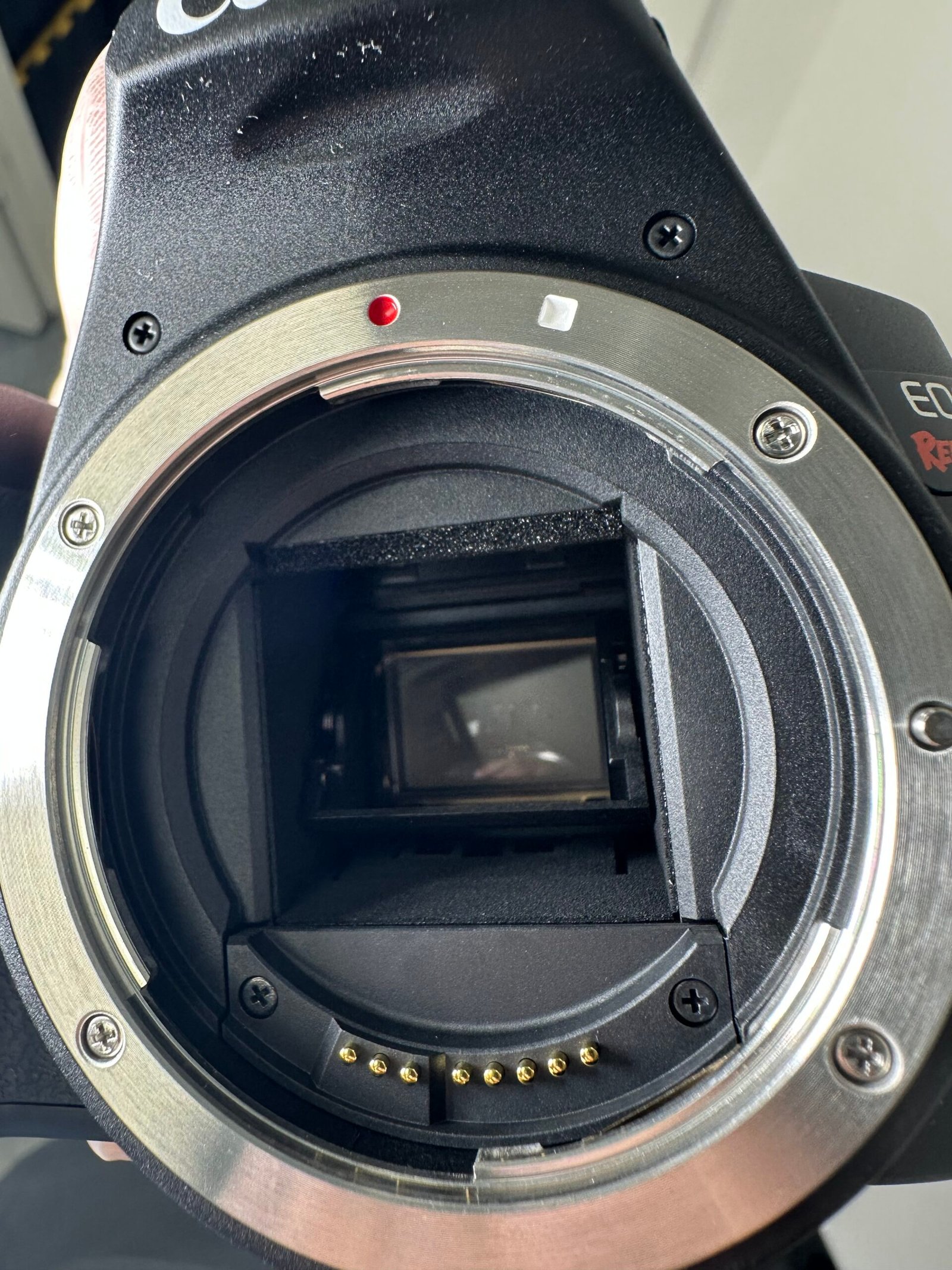 Canon - EOS Rebel SL3 - Produto Novo (Open Box) - Imagem 3